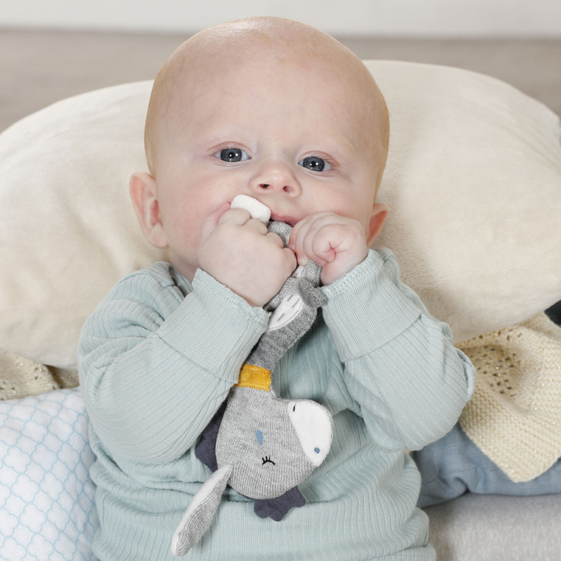 Pletený oslík, FehnNatur 2.0 3