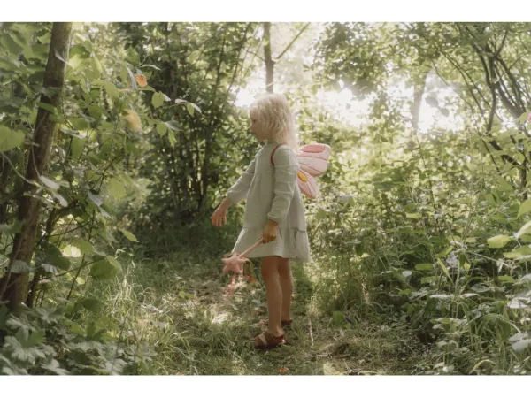 Vílie krídla a kúzelná palička Fairy Garden 3