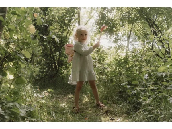 Vílie krídla a kúzelná palička Fairy Garden 4