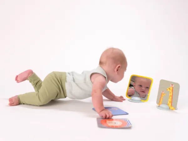 Sada kariet pre hru na brušku 11