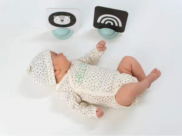 Sada kariet pre hru na brušku 8