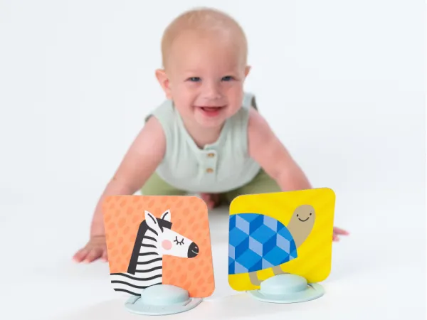 Sada kariet pre hru na brušku 12