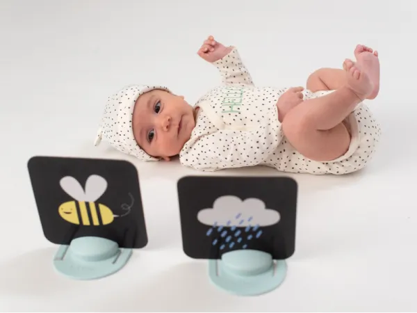 Sada kariet pre hru na brušku 9