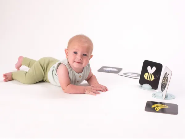 Sada kariet pre hru na brušku 10