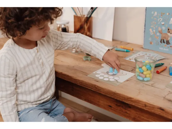 Kreatívna sada Forest Friends 5