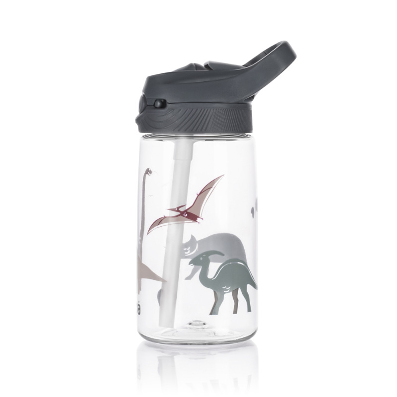 Láhev tritan sport 480 ml, Dino 5