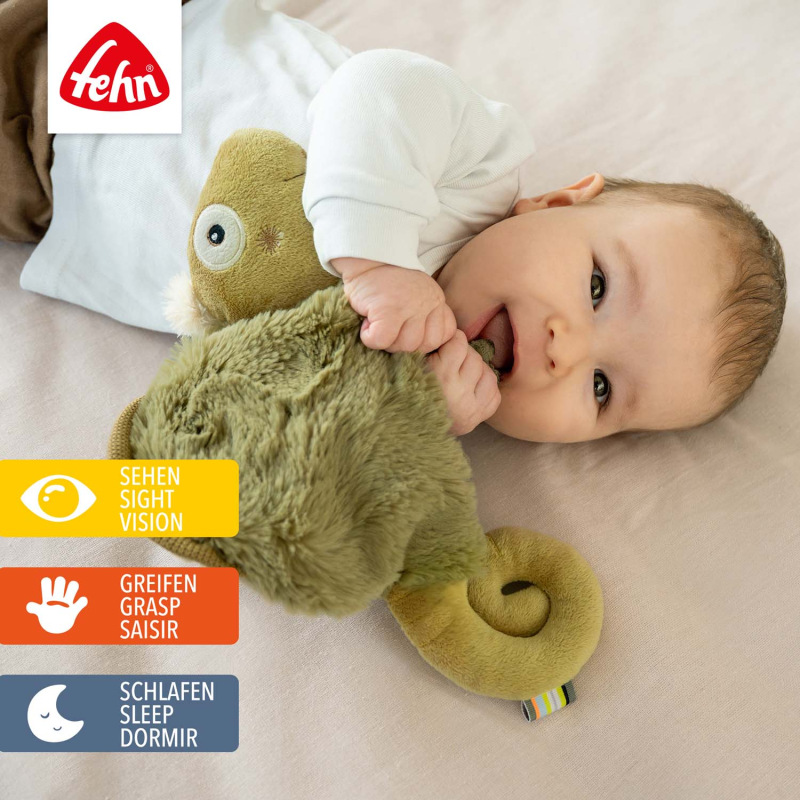 Muchláček chameleon, Crazy 1