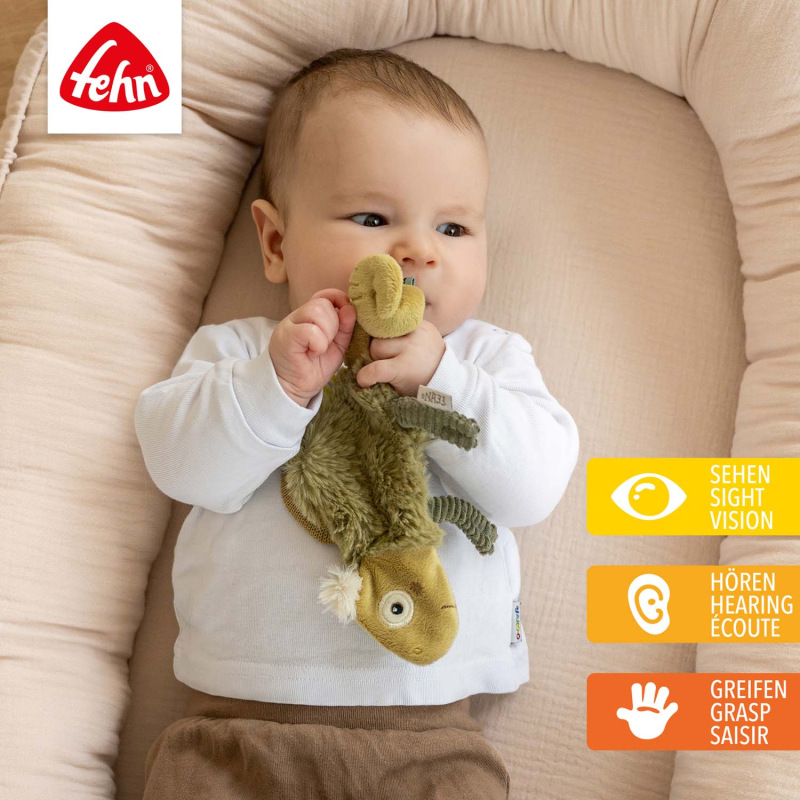 Hrkálka chameleon, Crazy 2