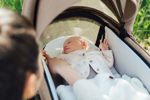 Sada kočíka Smile 5Z + hlboká vanička + autosedačka Baby-Safe PRO Style, Teak 19