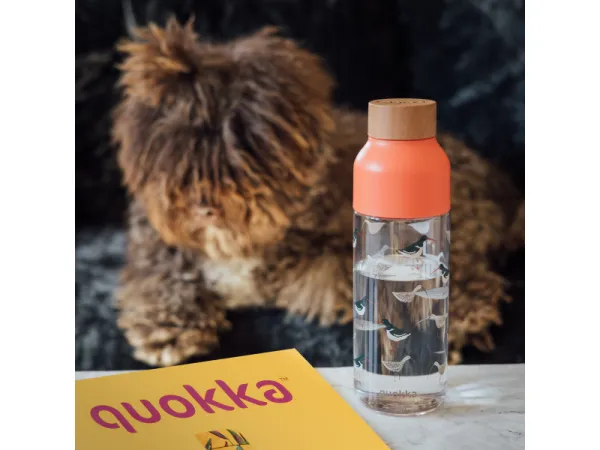 Plastová fľaša Quokka Ice Birds 720 ml 1