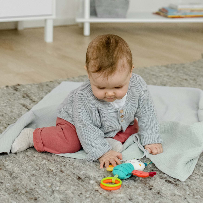 Chrastítko motýl, DoBabyDoo 4