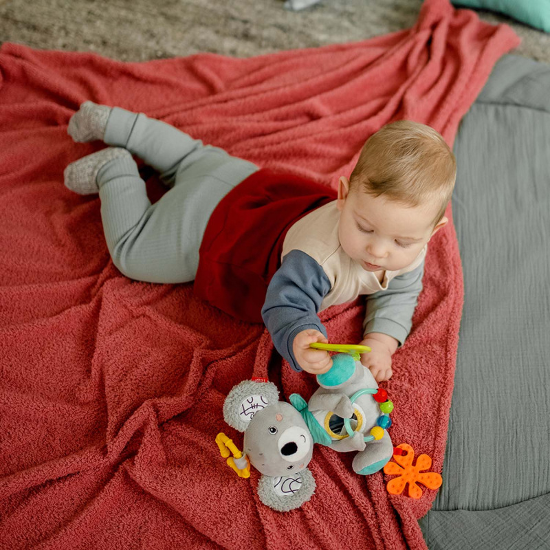 Aktivity koala, DoBabyDoo 2