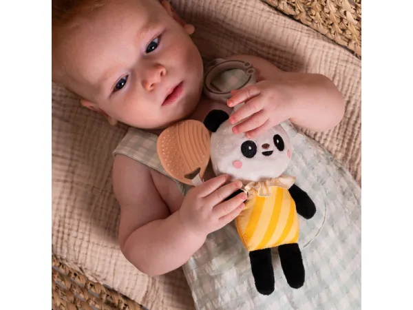 Panda Pamela 1