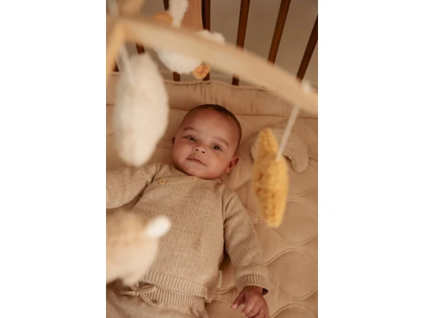 Hudobný kolotoč drevený Newborn Naturals 16