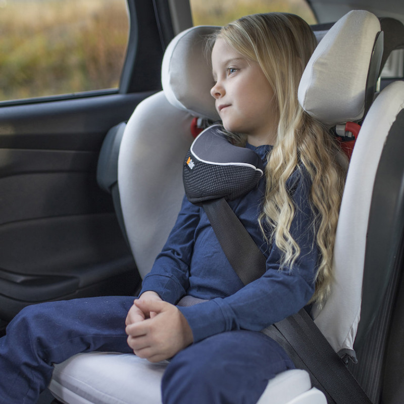 BeSafe Child Seat Cover iZi Flex Fix 1