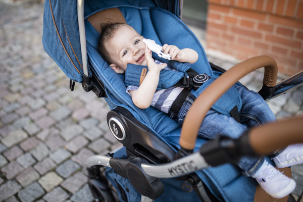 Kočík Mystic, Bordó Red 5