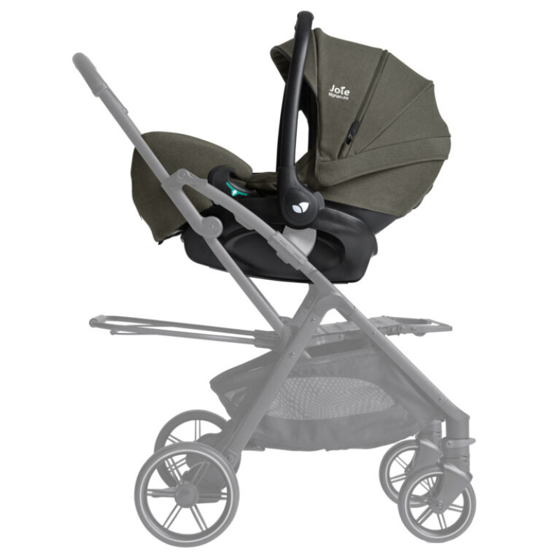Joie i-Level™ Pro Signature evergreen 5