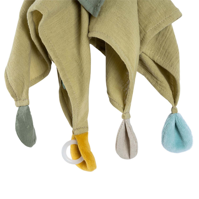 Muchláček medvěd, FehnNatur 3.0 1