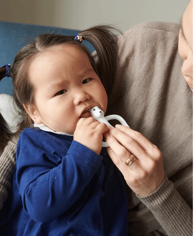 MATCHSTICK MONKEY Hryzátko a zubná kefka, ĽADOVÝ MEDVEĎ 2