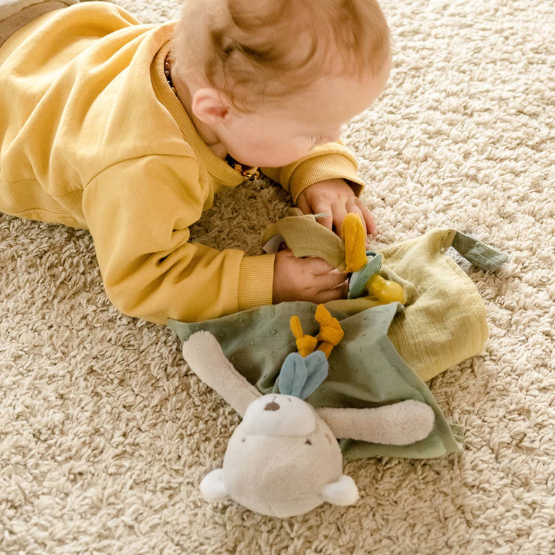 Muchláček medvěd, FehnNatur 3.0 4