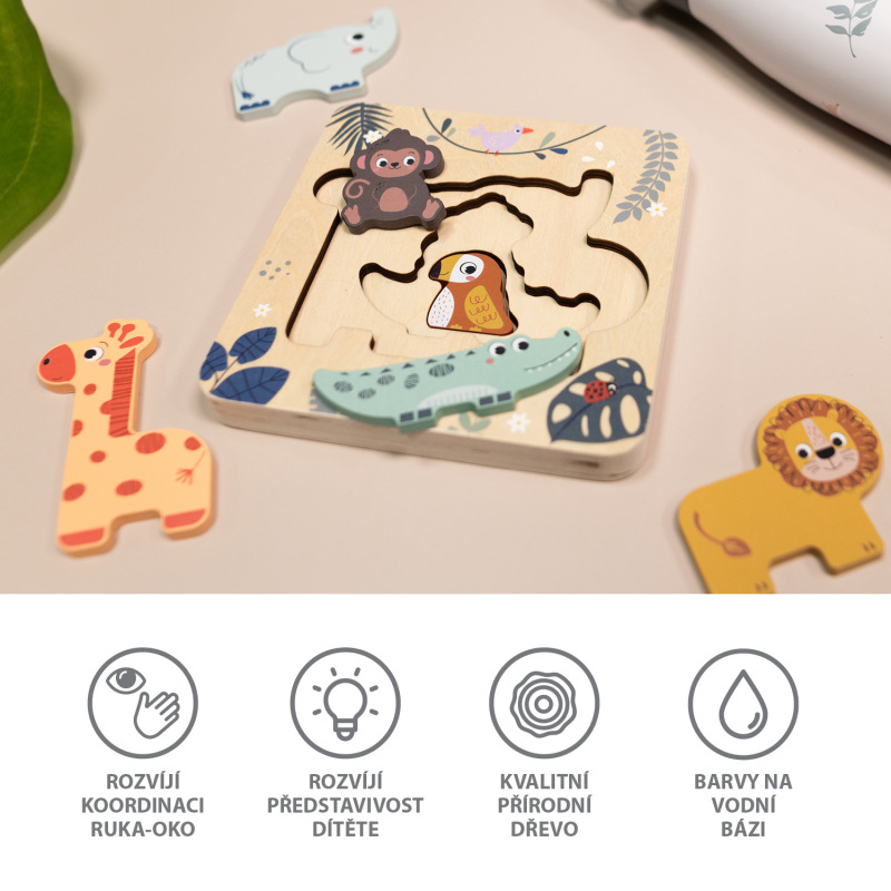 Dřevěné puzzle hlavolam, Wood 1