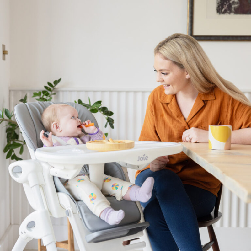 Joie mimzy™ recline 2025 arctic 2