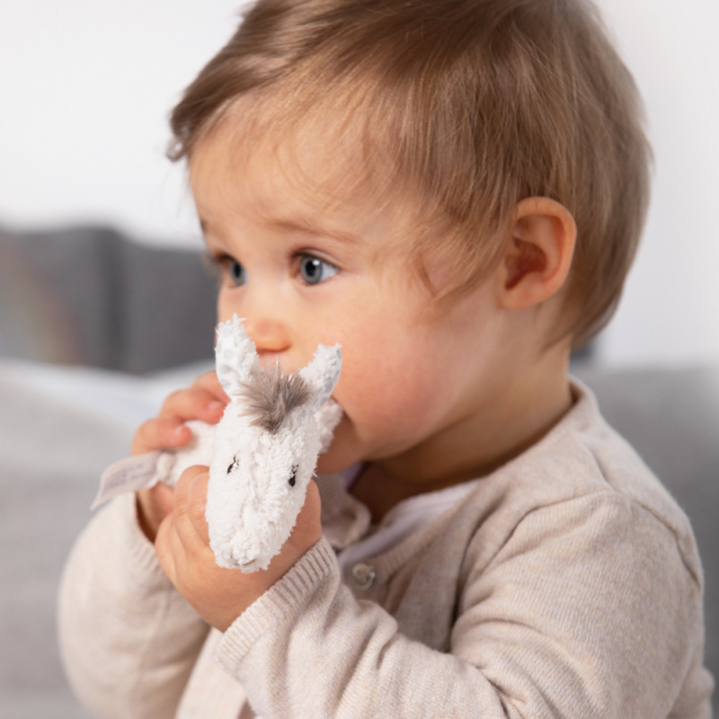 Mäkký krúžok lama, Peru 3