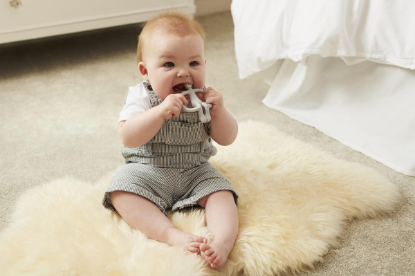 MATCHSTICK MONKEY Hryzátko a zubná kefka, COOL GREY 4