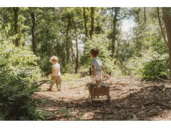 Líška plyšová Forest Friends 5