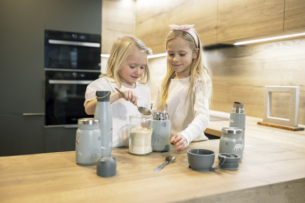 Termoska na jídlo 300 ml, Dino 7