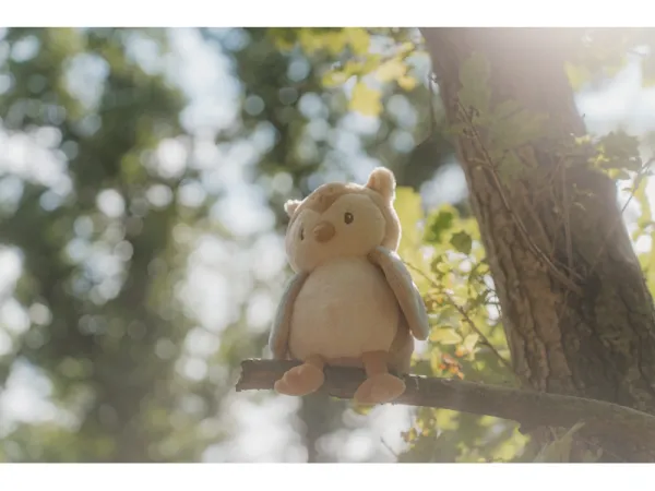 Sova plyšová Forest Friends 4