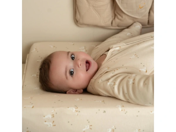 Poťah na prebaľovaciu podložku Husa Newborn Naturals 2