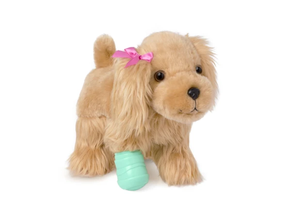 Kokeršpaniel v kabelke s veterinárskou sadou 2