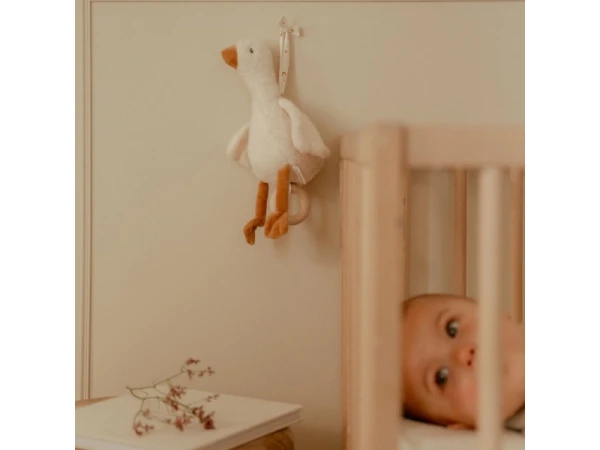 Hudobná hus Newborn Naturals 1