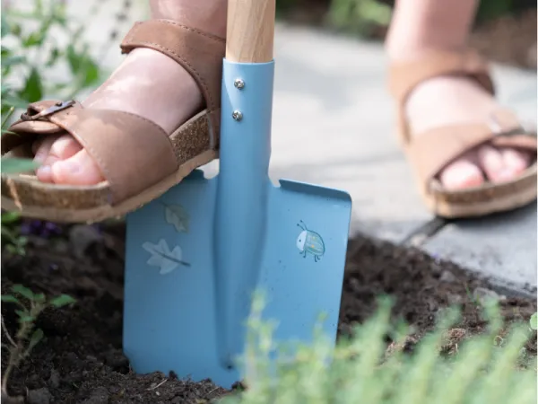 Lopata Forest Friends 3