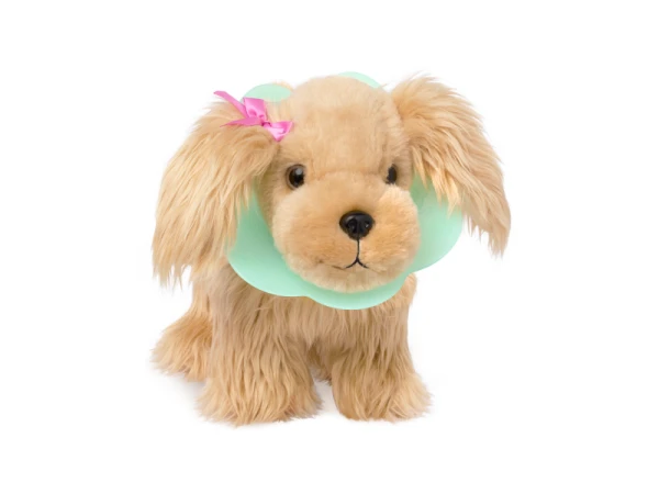 Kokeršpaniel v kabelke s veterinárskou sadou 3