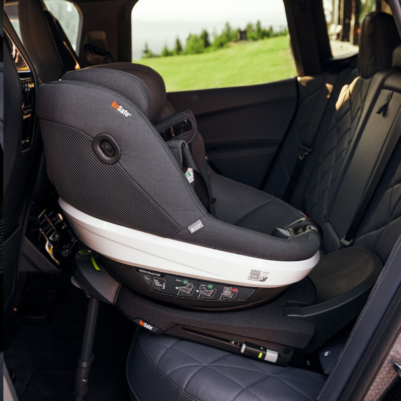 BeSafe Beyond 360 2025 fresh black cab 8