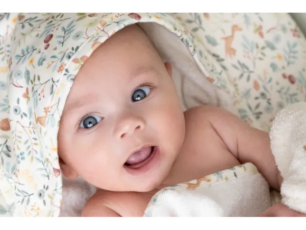 Osuška s kapucňou 75x75 cm Forest Wonders 6