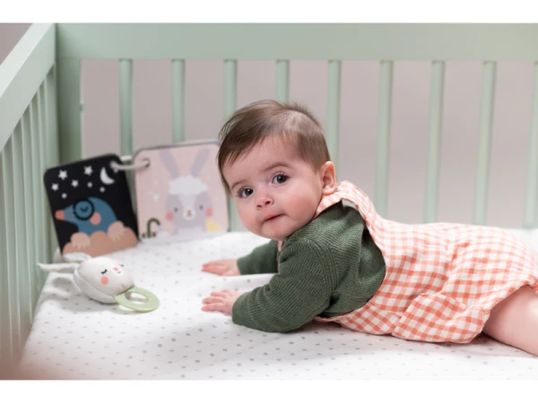 Sada hračiek Bedtime Kit 6