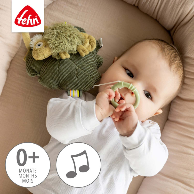 Hracej chameleon, Crazy 2