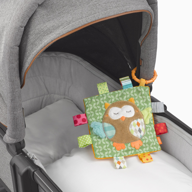 Závesný muchláček sova, Forest 4