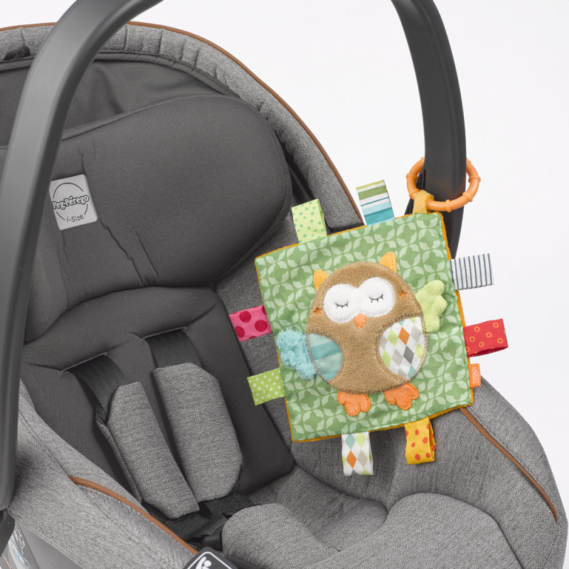 Závesný muchláček sova, Forest 3