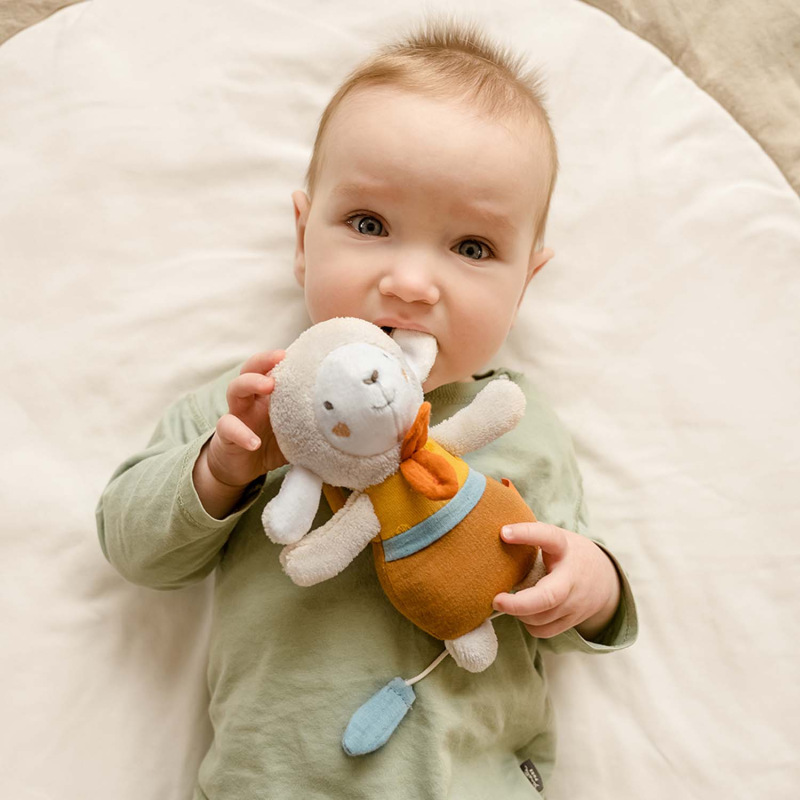 Hrací hračka ovečka, FehnNatur 3.0 4