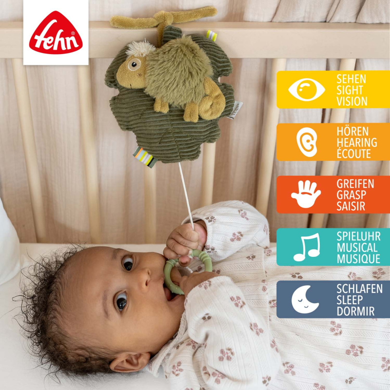 Hracej chameleon, Crazy 1