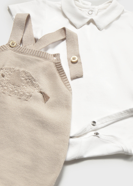 Mayoral body Col. Mole 2