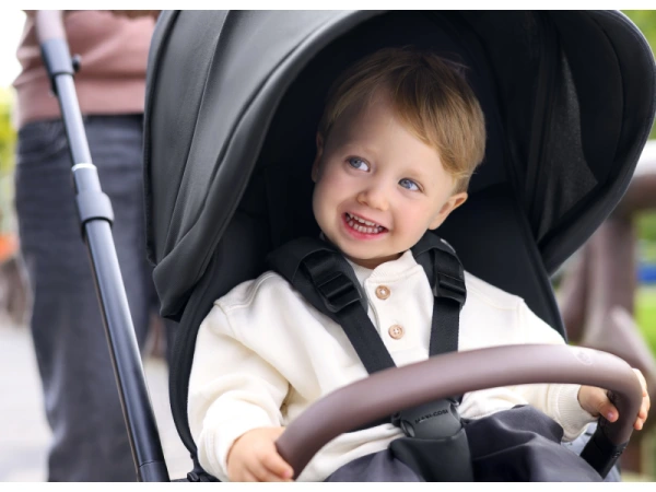 Oxford kočík Essential Green 20