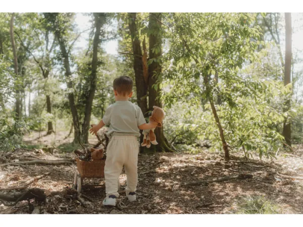 Bábika Sam Forest Friends 9