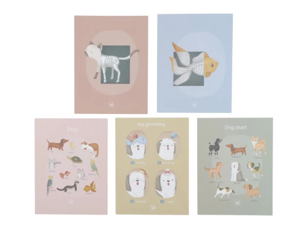 Veterinárna ordinácia drevená 18