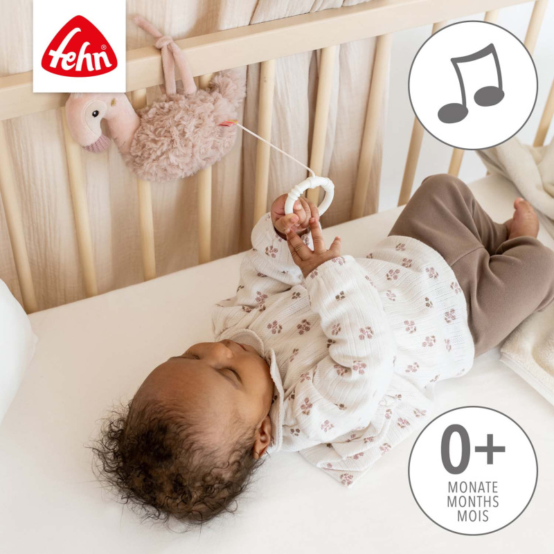 Hracej plameniak, Pink 2