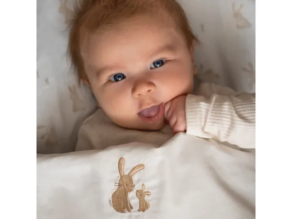 Napínacia plachta 40x80 cm Baby Bunny